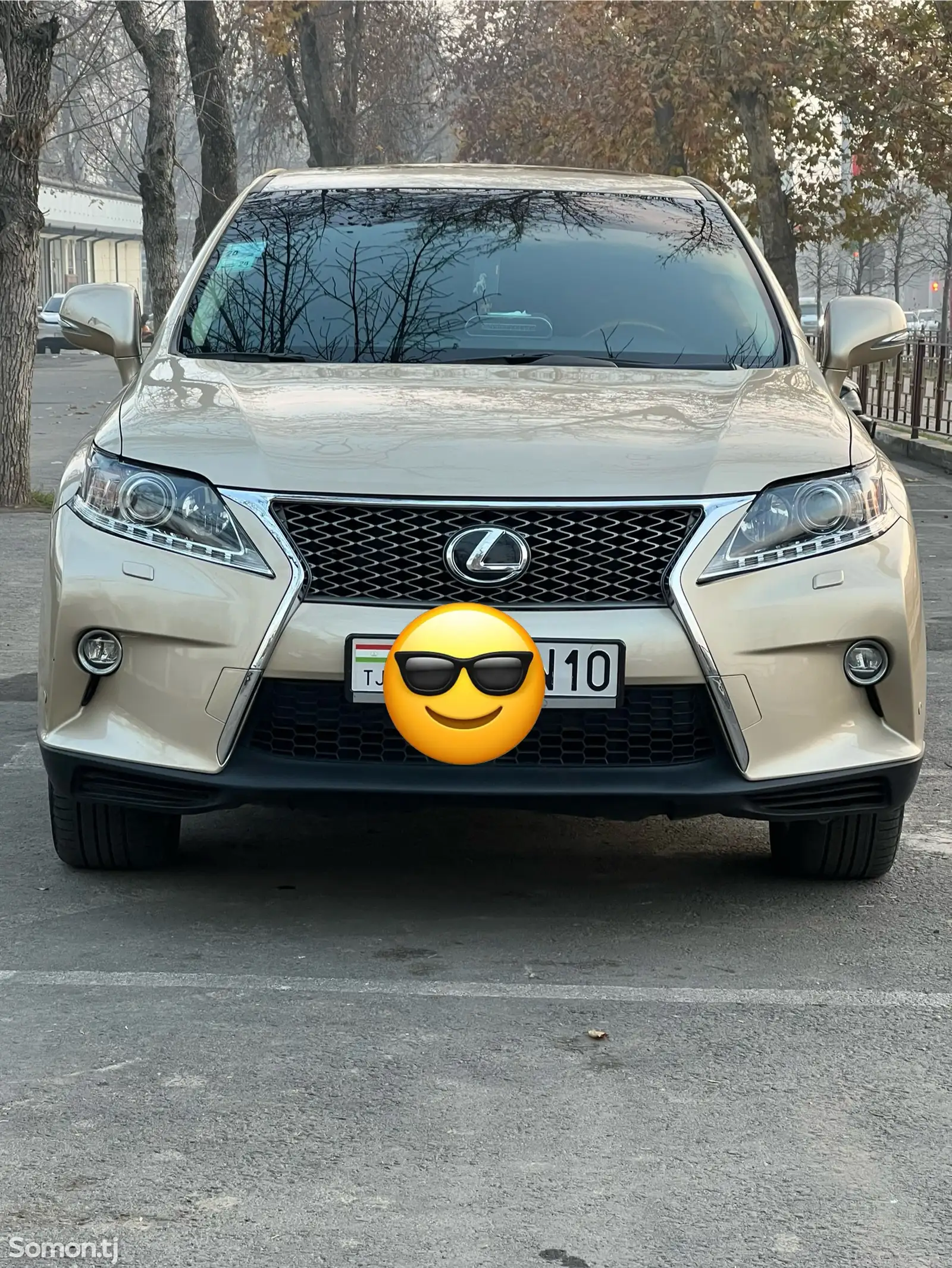 Lexus RX series, 2010-1