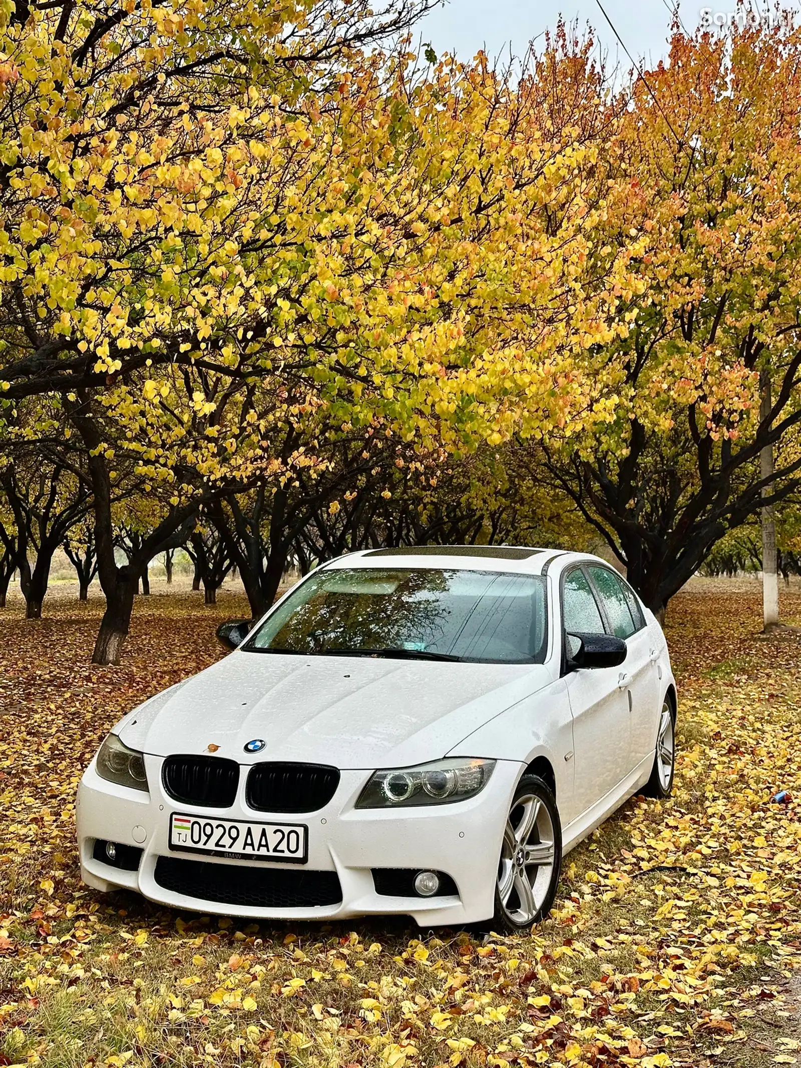 BMW 3 series, 2010-1