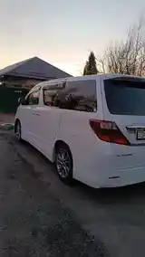 Toyota Alphard, 2010-5