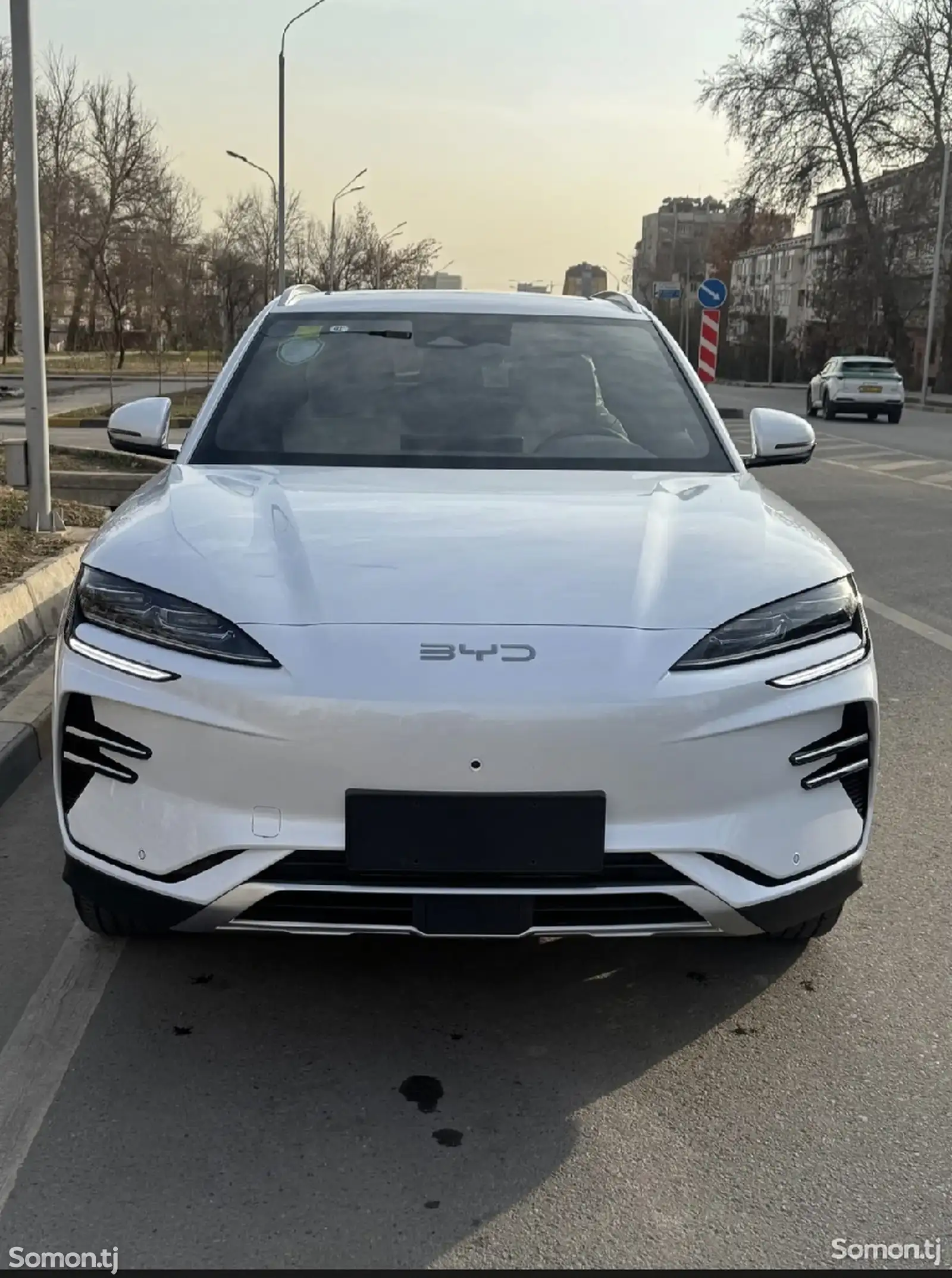 BYD Song Plus Flagship, 2024-1