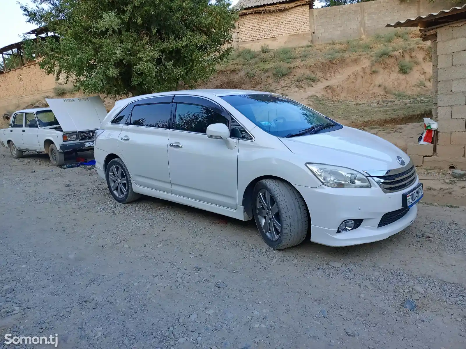 Toyota Mark X ZiO, 2009-2