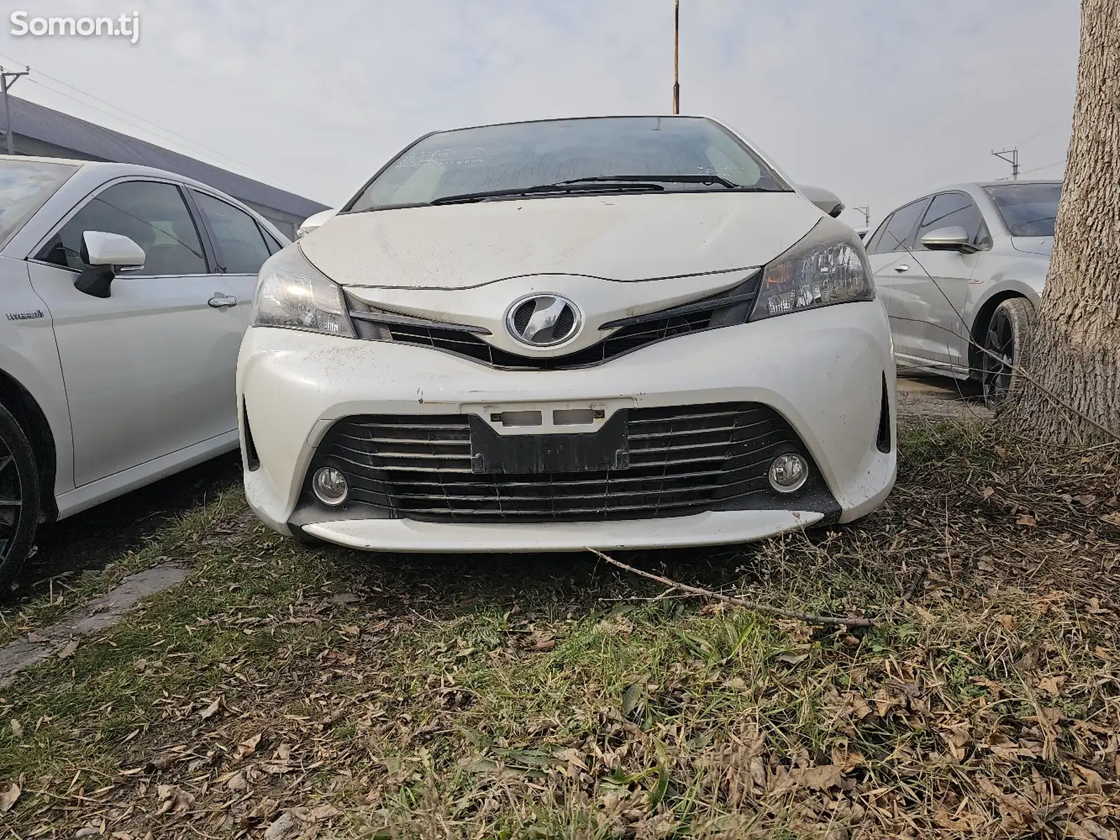 Toyota Vitz, 2014-1