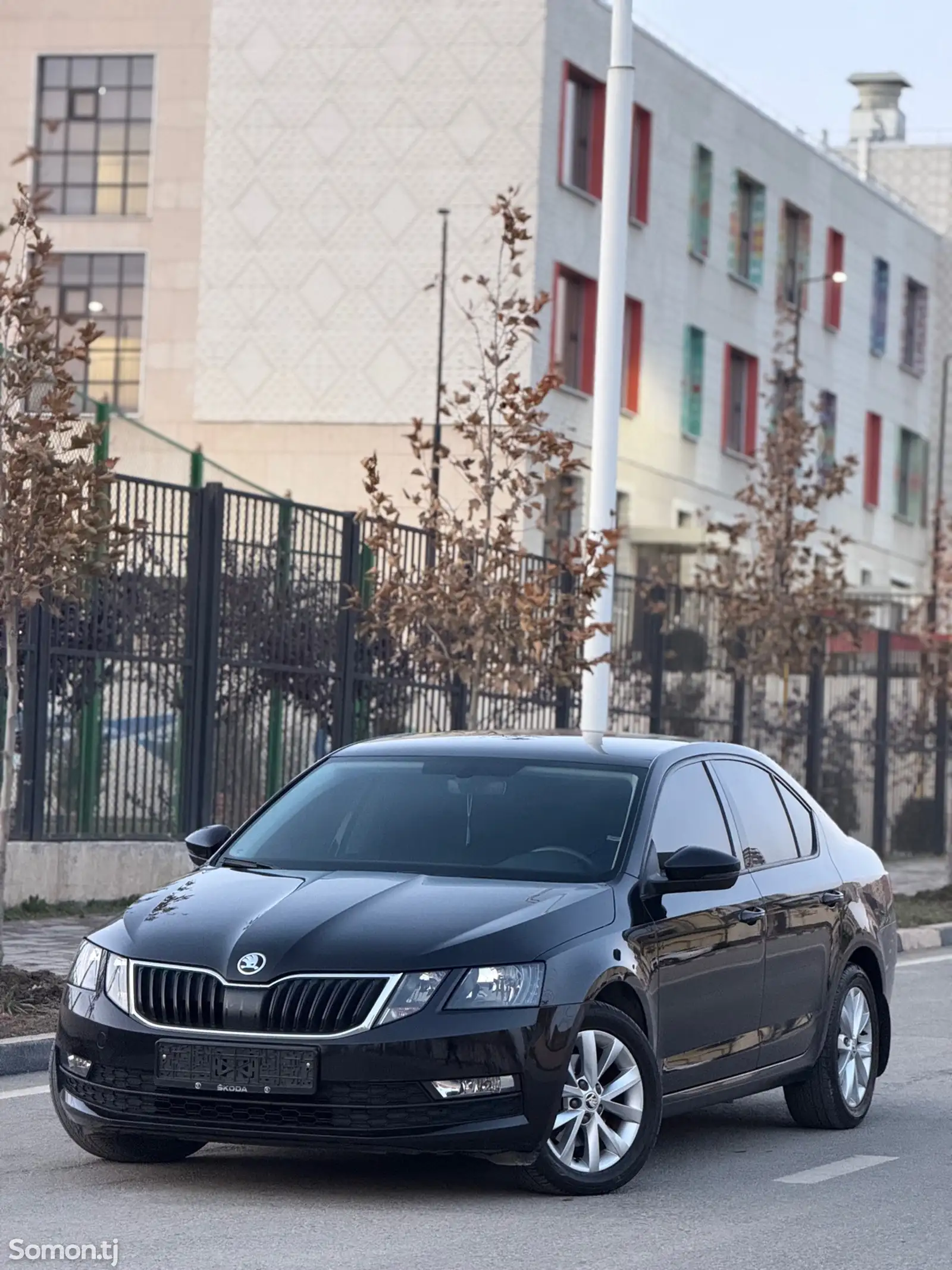 Skoda Octavia, 2019-1