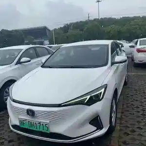 Changan Alsvin, 2021 на заказ