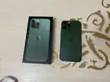 Apple iPhone 13 Pro Max, 256 gb, Alpine Green-4