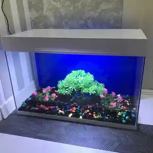 Эксклюзивный аквариум