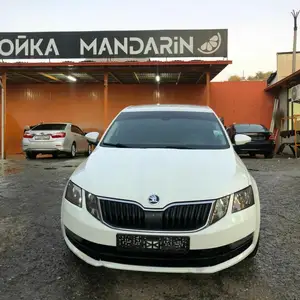 Skoda Octavia, 2017