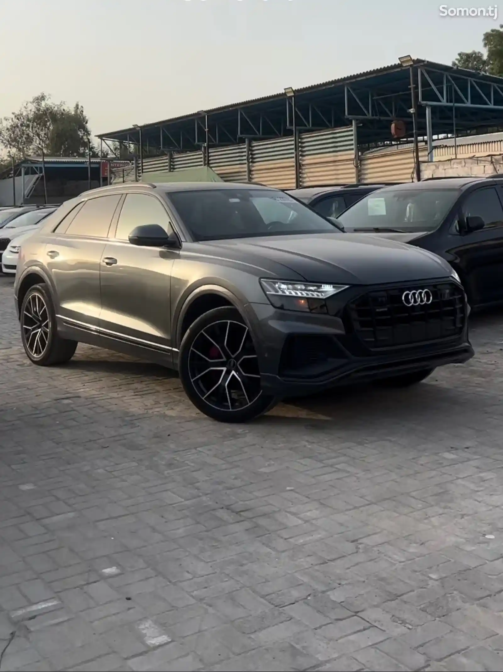 Audi Q8, 2022-1