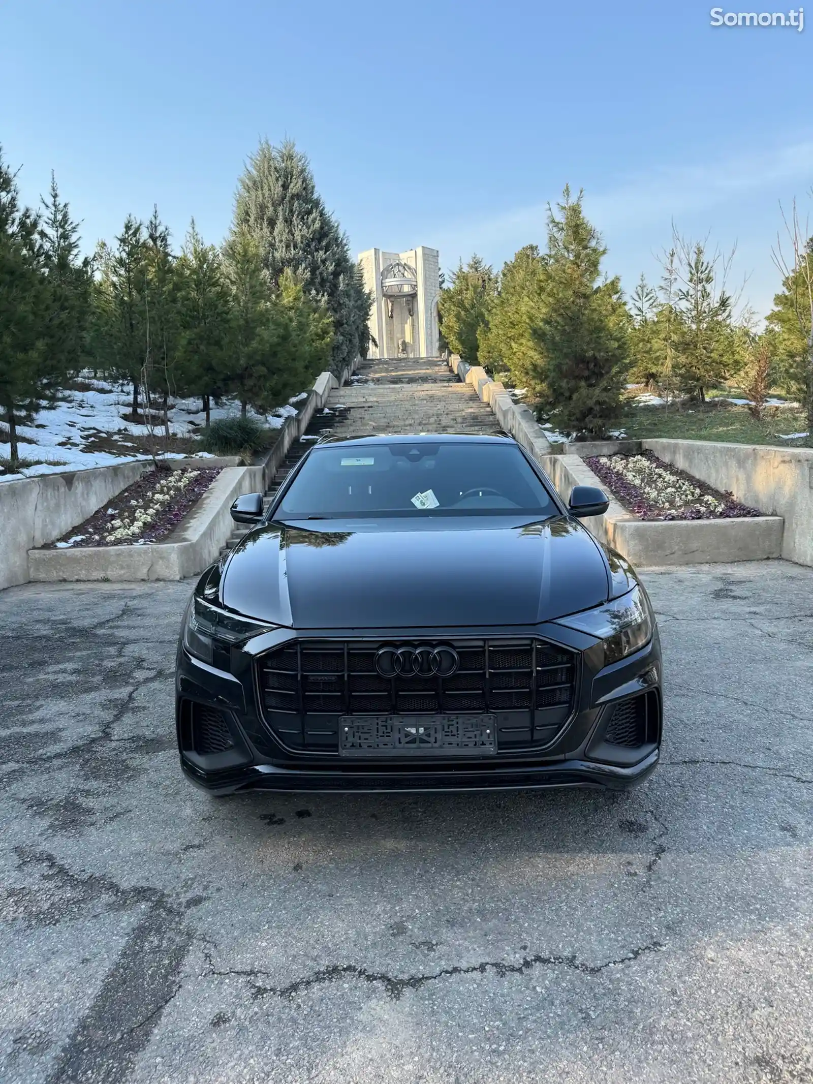 Audi Q8, 2019-3