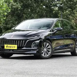 Hongqi E-HS3, 2024