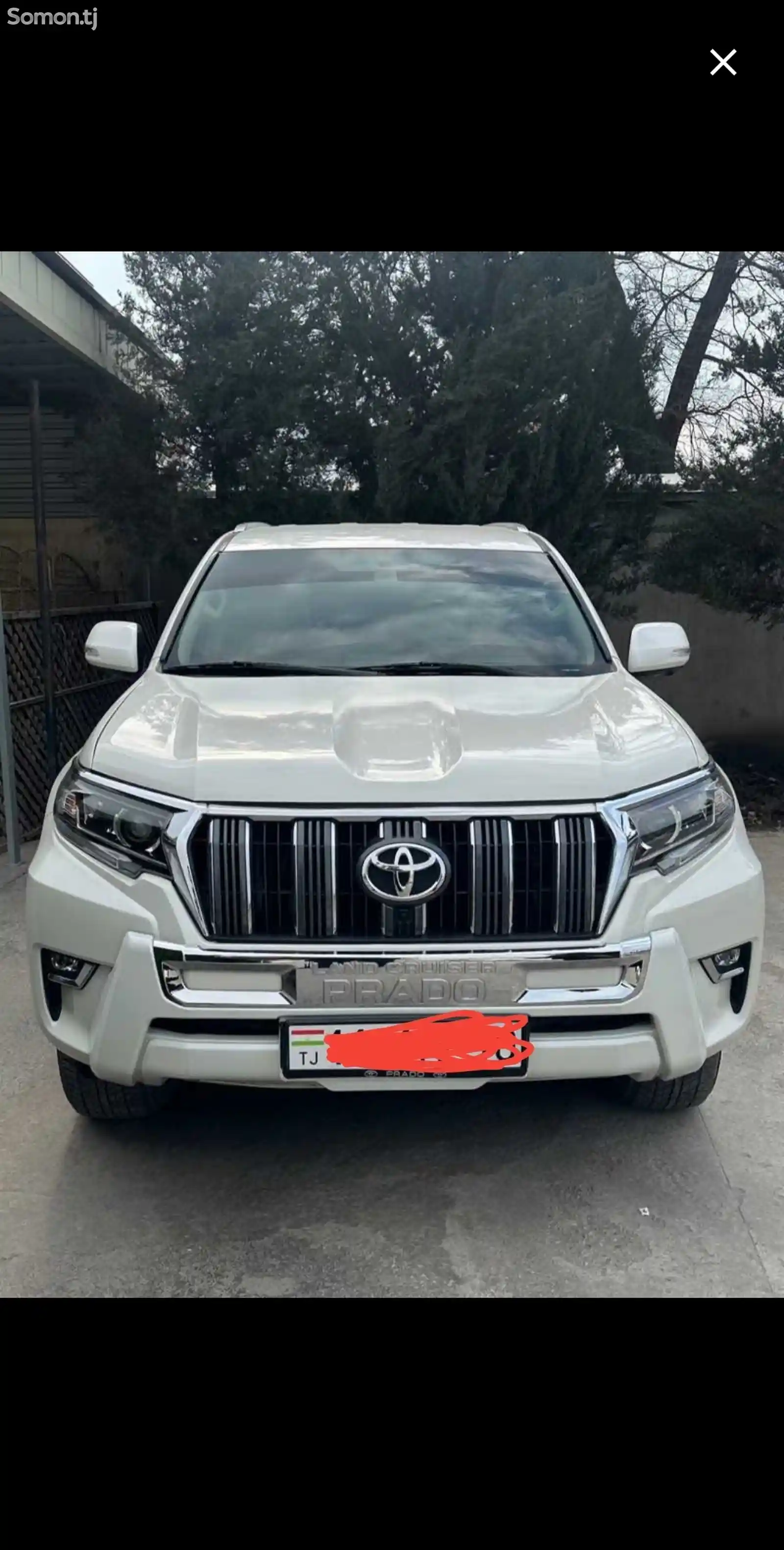 Дуга на Toyota Prado 2018