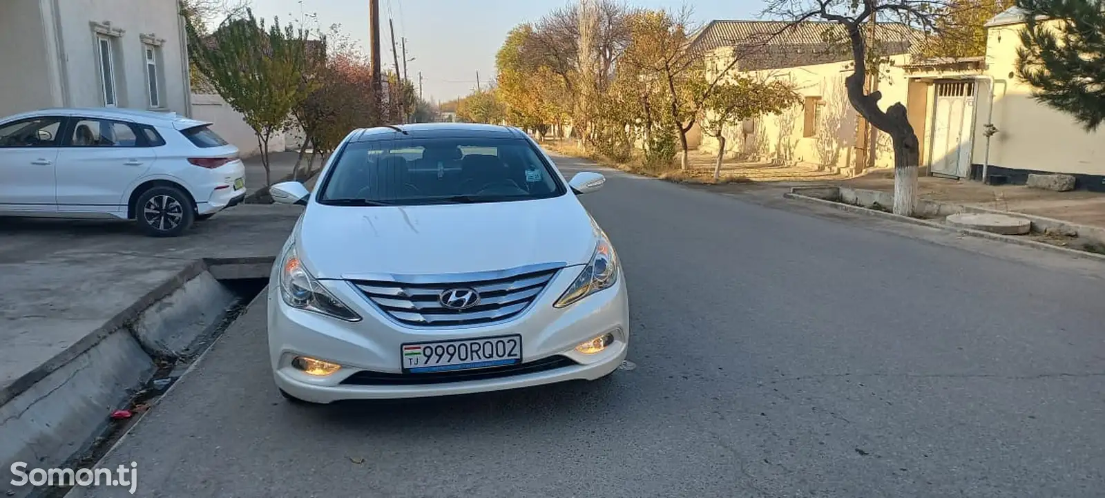 Hyundai Sonata, 2011-1