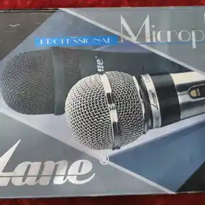 Микрофон, Япония