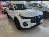 BYD Другие модели, 2024-2