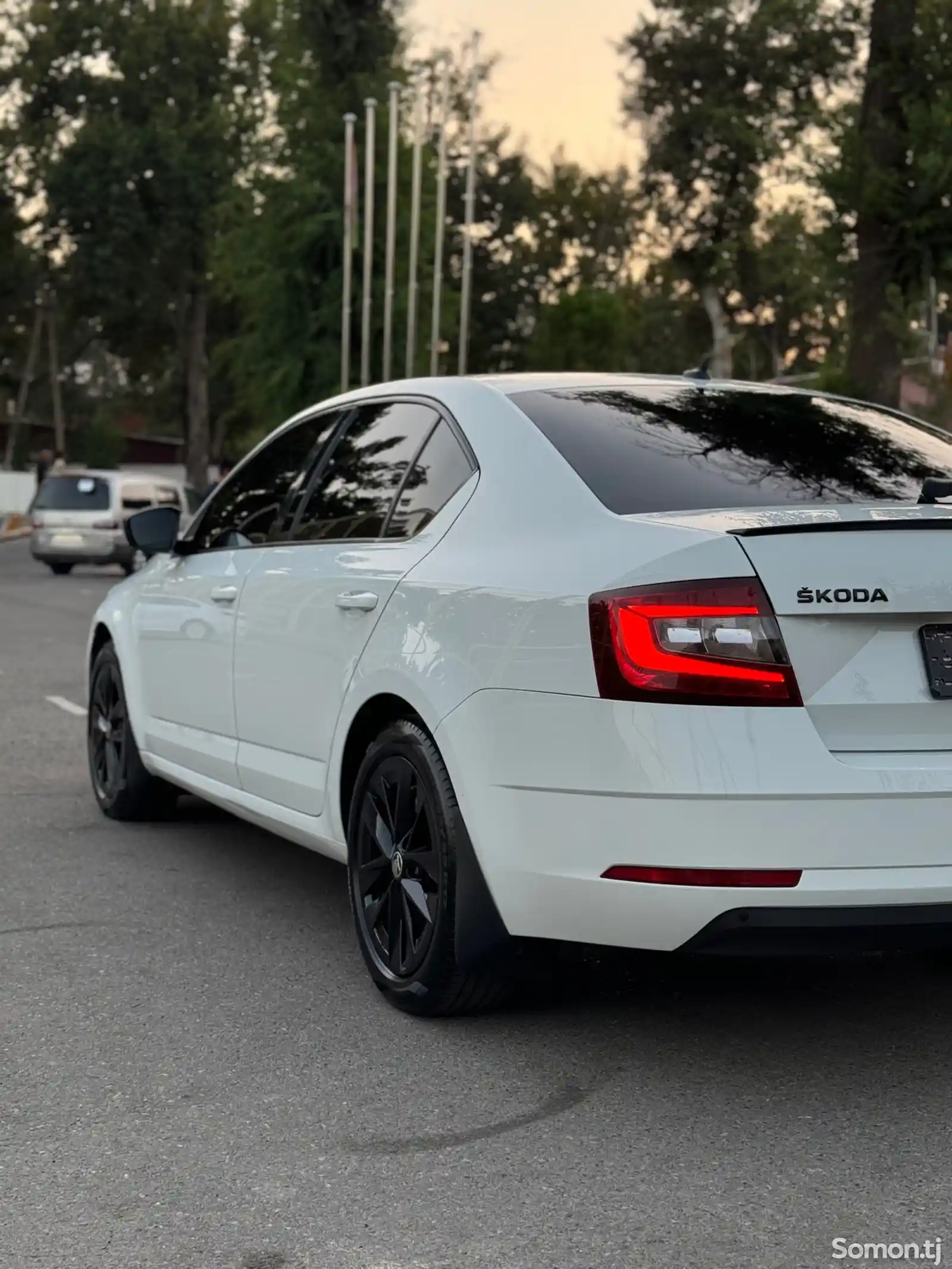 Skoda Octavia, 2019-4