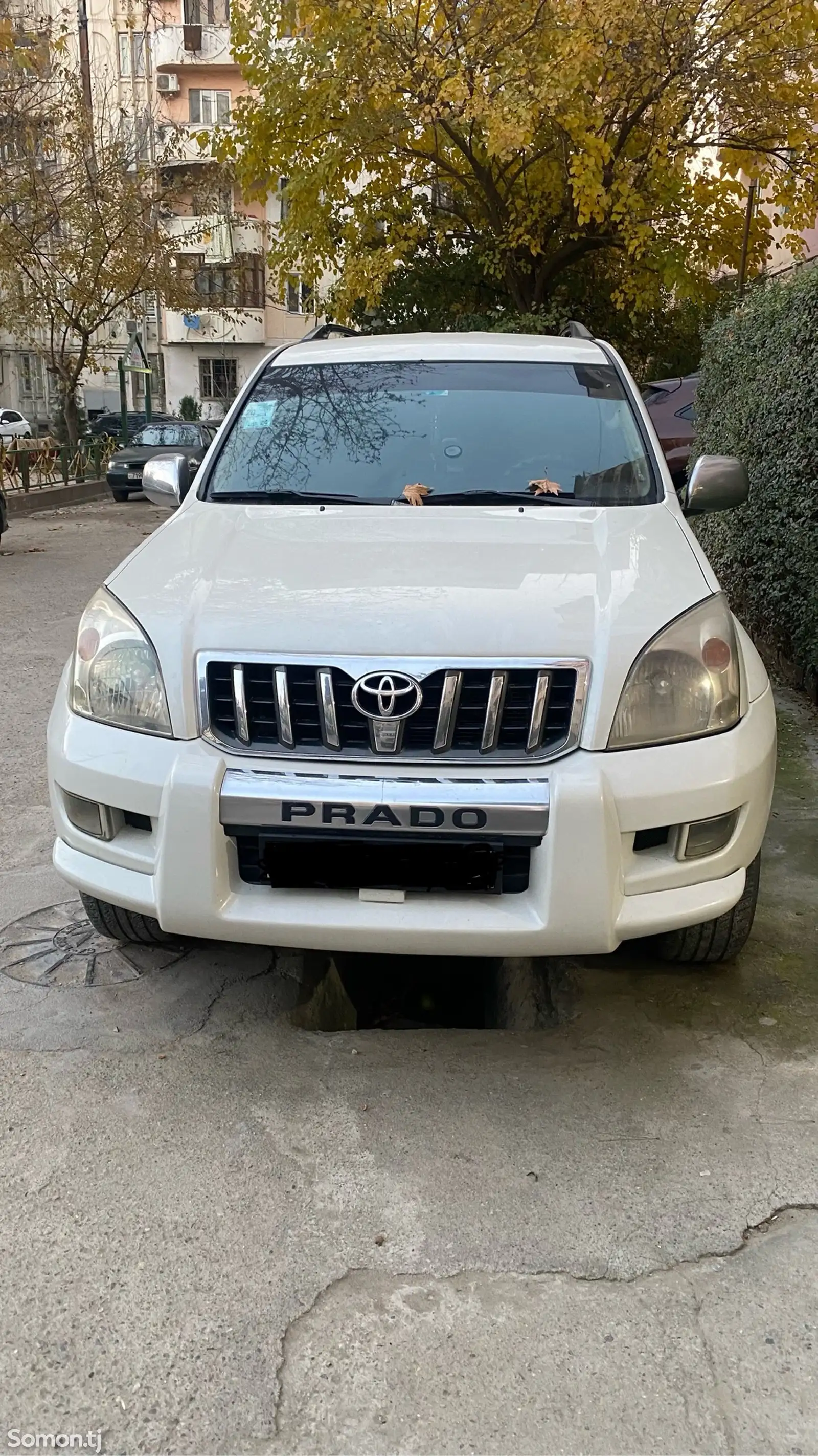 Toyota Land Cruiser Prado, 2009-1