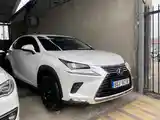 Lexus NX series, 2019-11