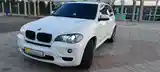 BMW X5, 2009-2