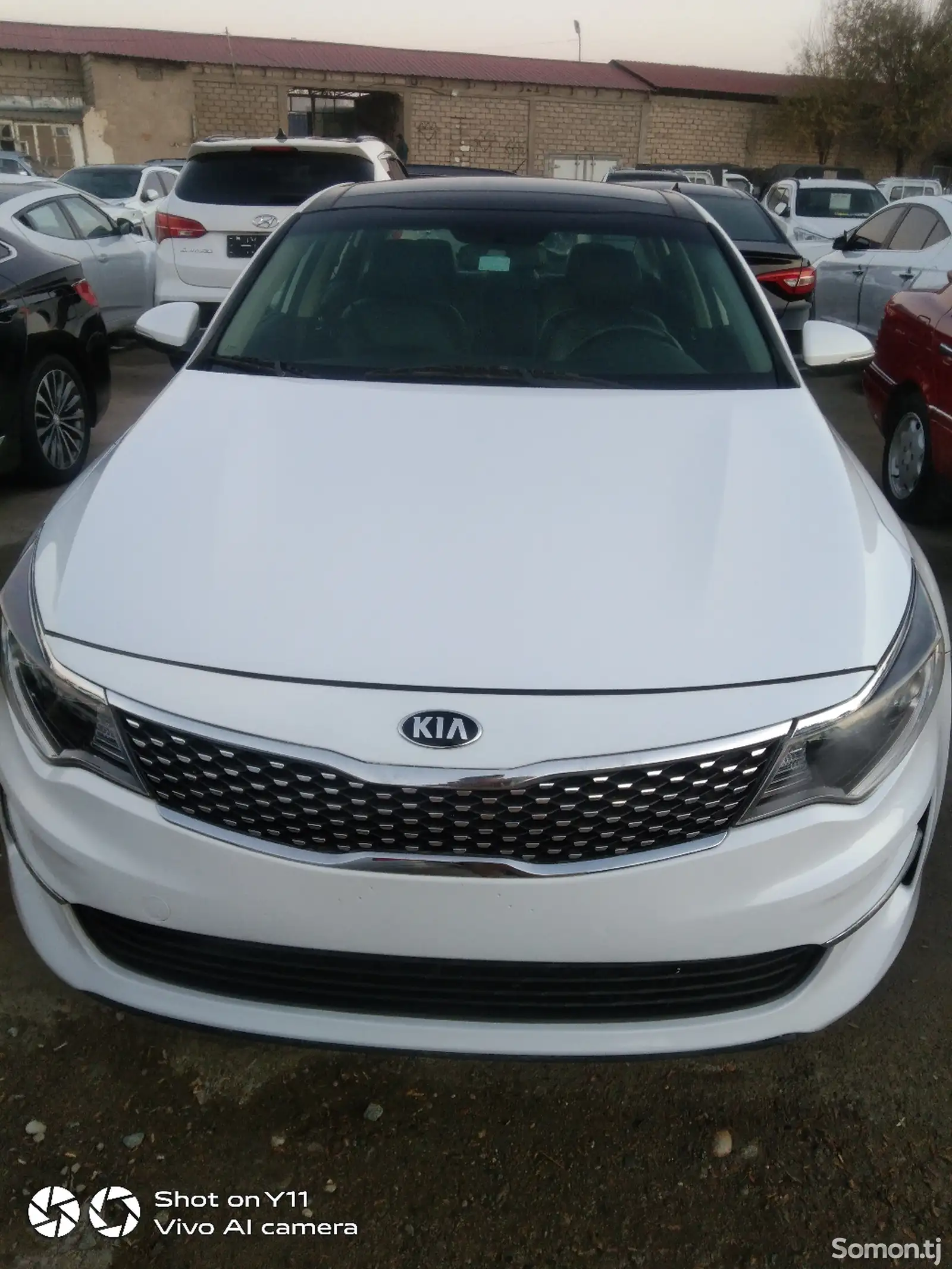 Kia Optima, 2018-1