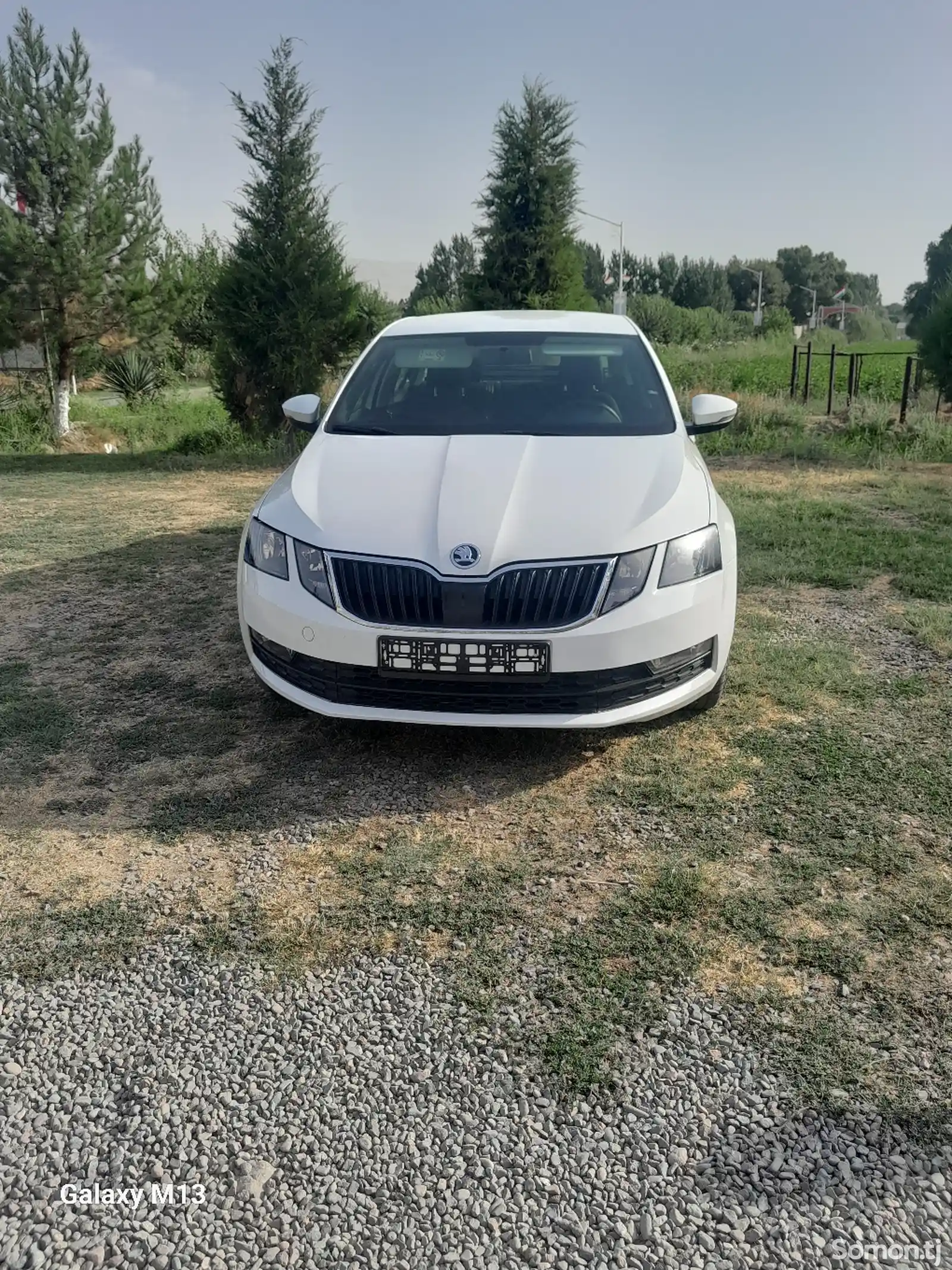 Skoda Octavia, 2019-1