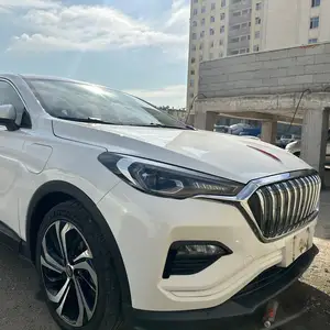 Hongqi E-HS3, 2019