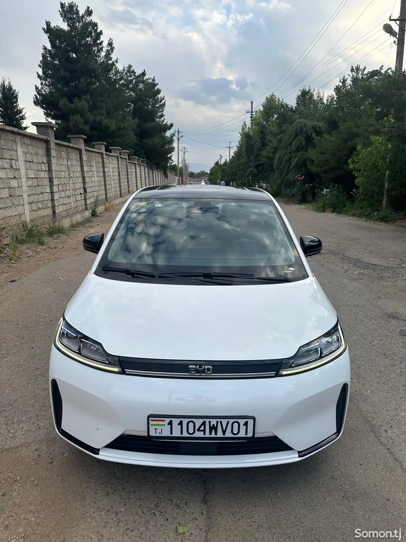 BYD Другие модели, 2021-1