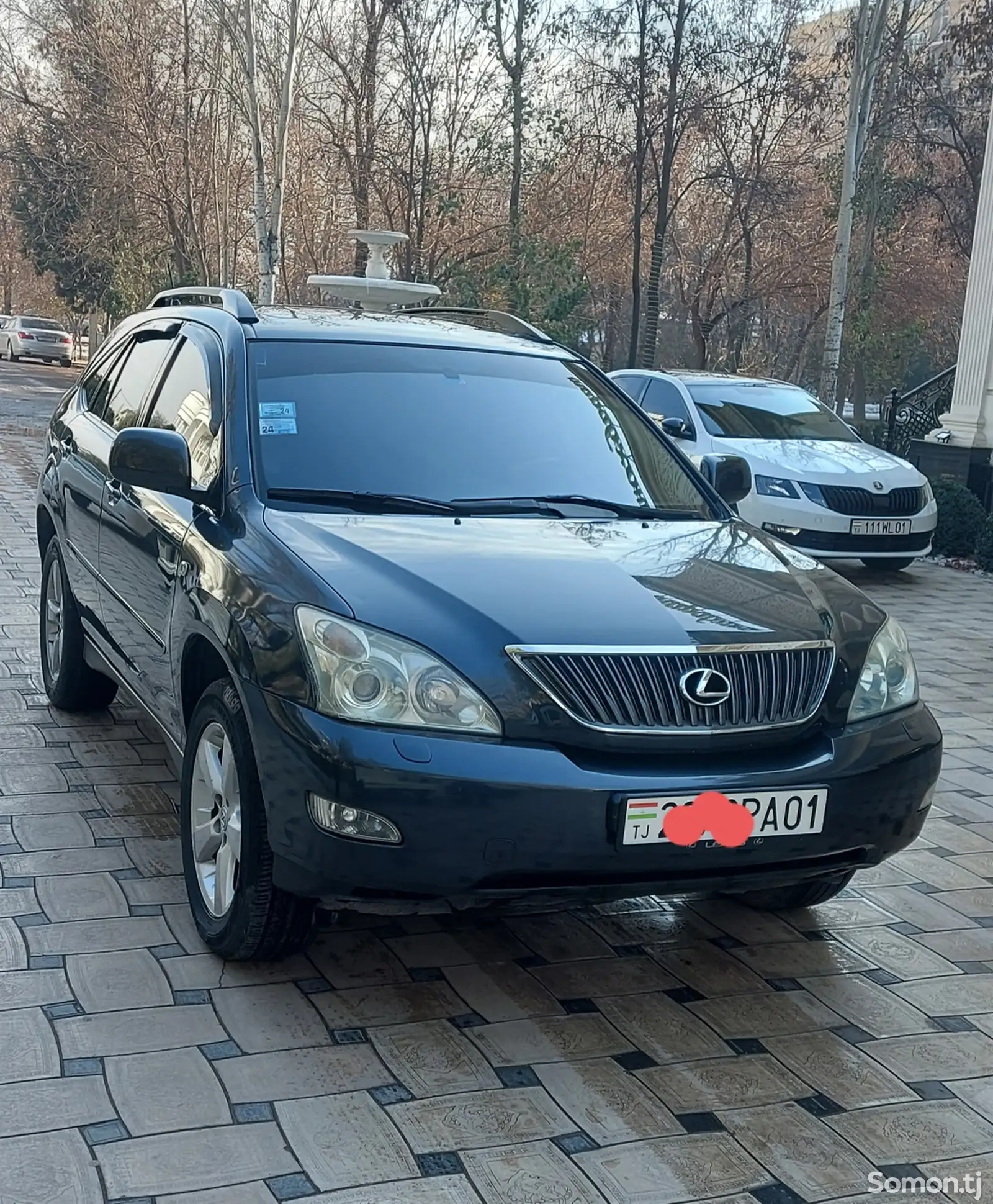 Lexus RX series, 2007-1