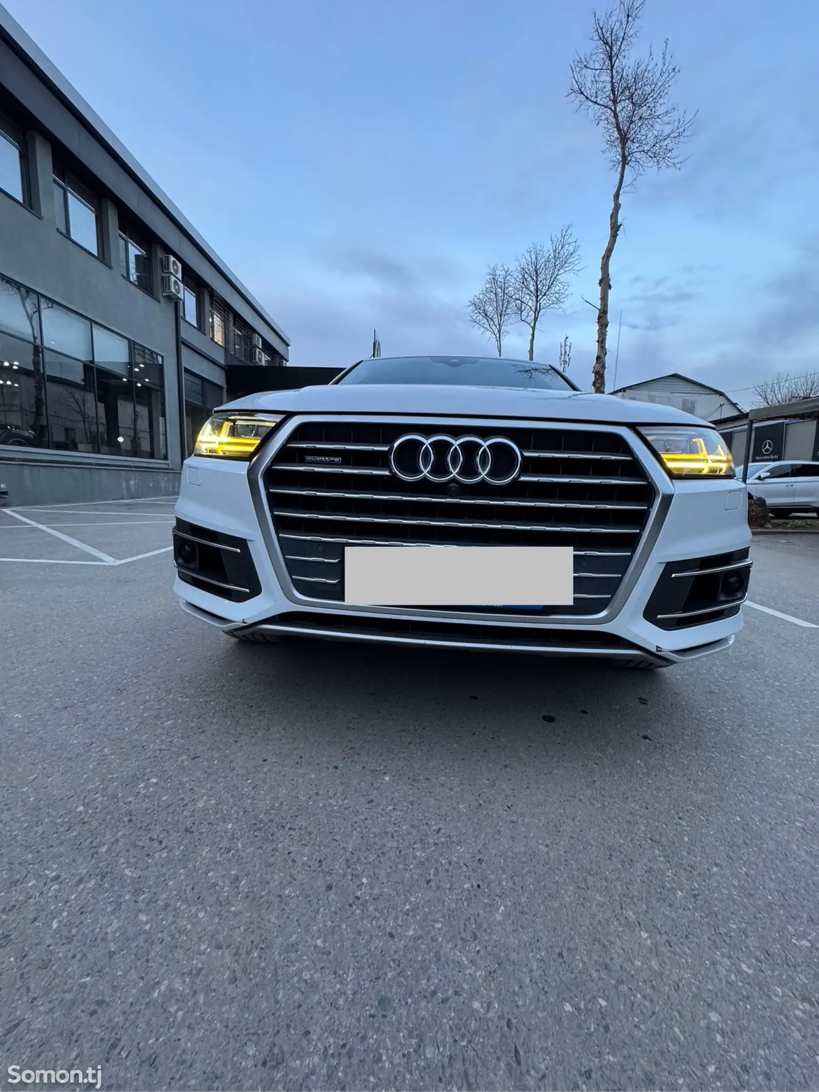 Audi Q7, 2019-1