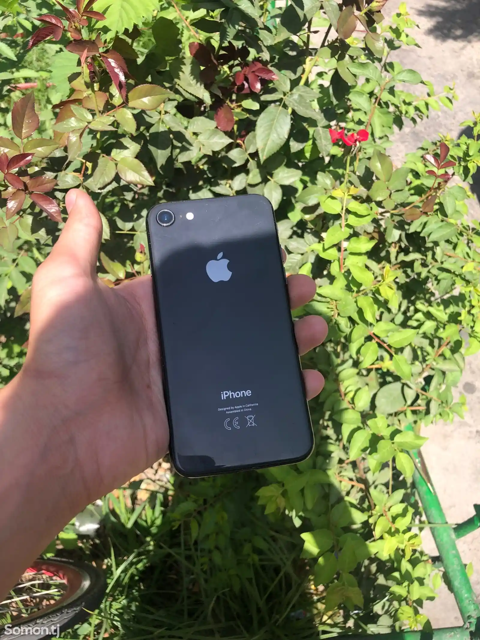 Apple iPhone 8, 64 gb, Silver-2