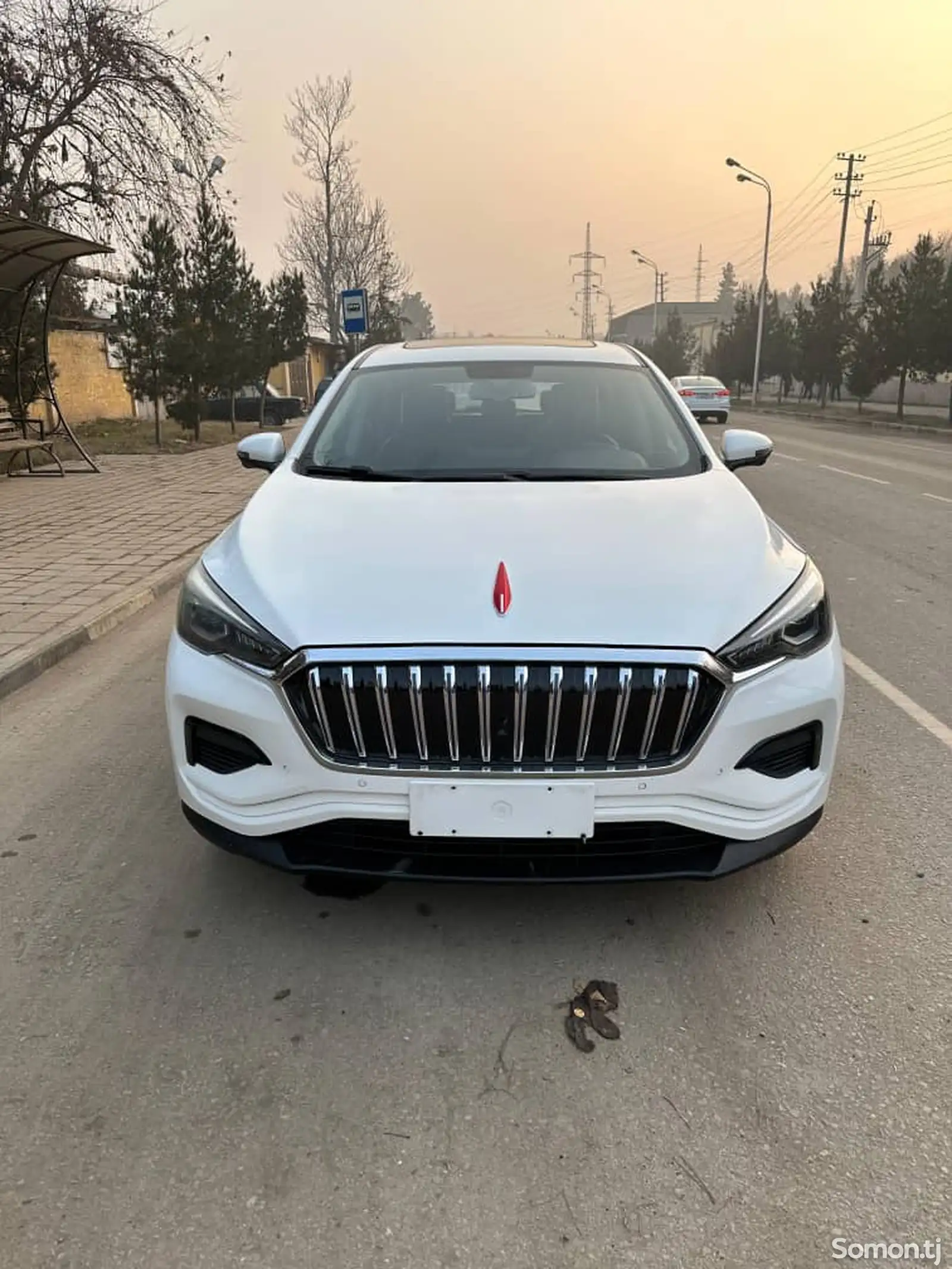 Hongqi E-HS3, 2019-1