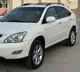 Lexus RX series, 2009-2