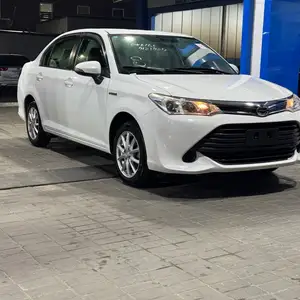 Toyota Axio, 2015