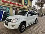 Toyota Land Cruiser Prado, 2008-4