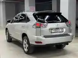 Lexus RX series, 2007-6