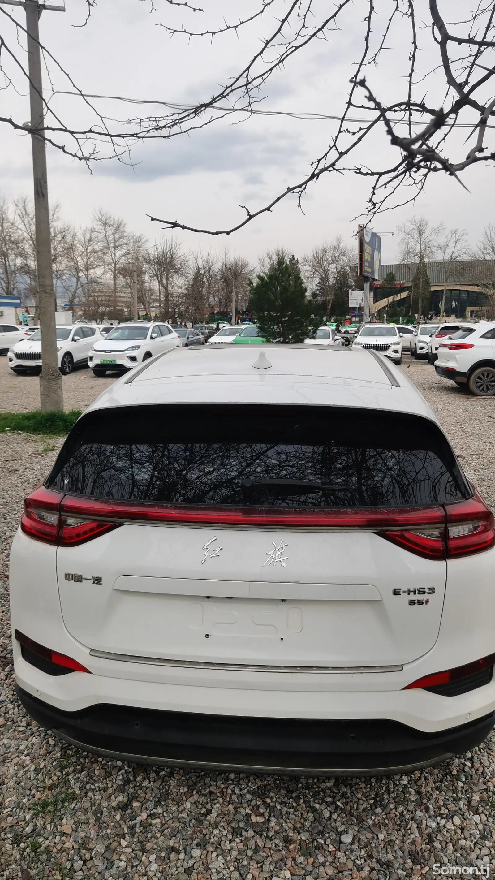 Hongqi E-HS3, 2019-1