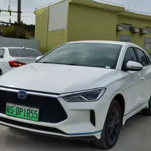 BYD E2, 2022 на заказ