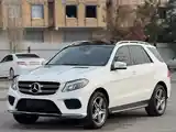 Mercedes-Benz GLE class, 2016-3