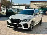 BMW X5, 2019-4