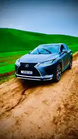 Lexus RX series, 2017-4