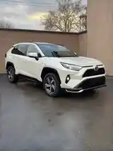 Toyota RAV 4, 2023-3