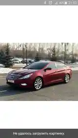 Амортизатор для Hyundai Sonata-2