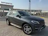 Mercedes-Benz ML class, 2014-5