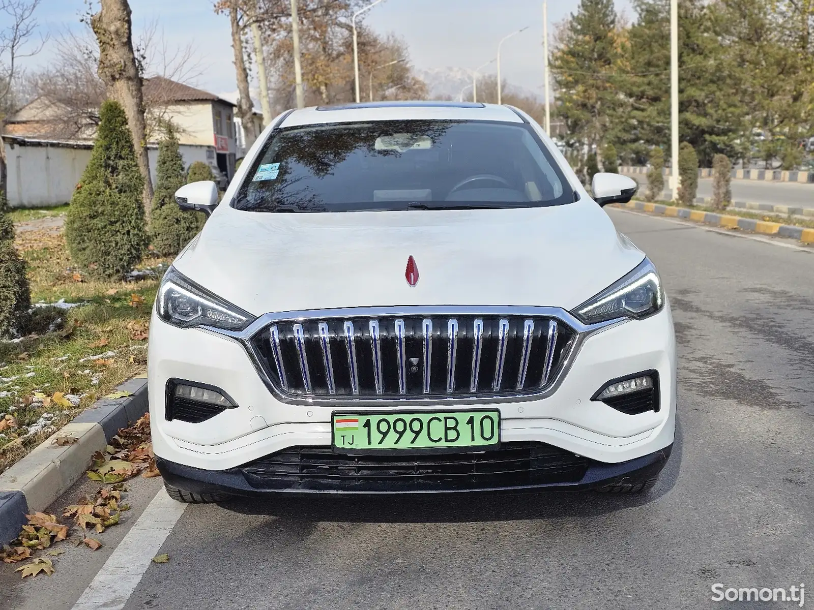 Hongqi E-HS3, 2019-1