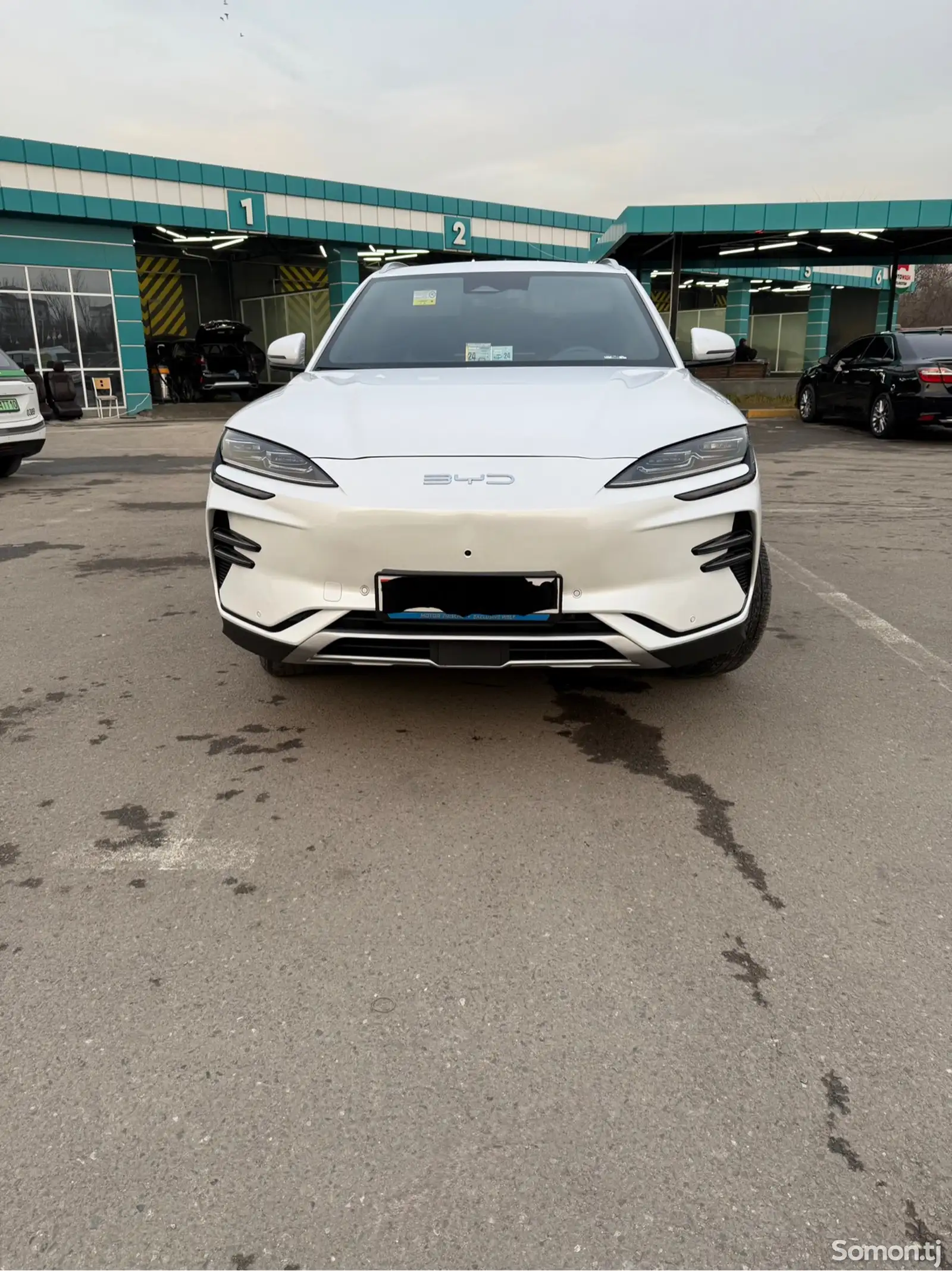 BYD Song Plus Flagship, 2024-1