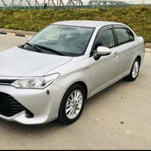 Toyota Axio, 2015