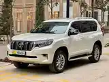 Toyota Land Cruiser Prado, 2010-5