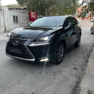 Lexus NX series, 2020