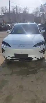 BYD Qin Plus, 2024-9