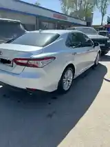 Toyota Camry, 2019-5