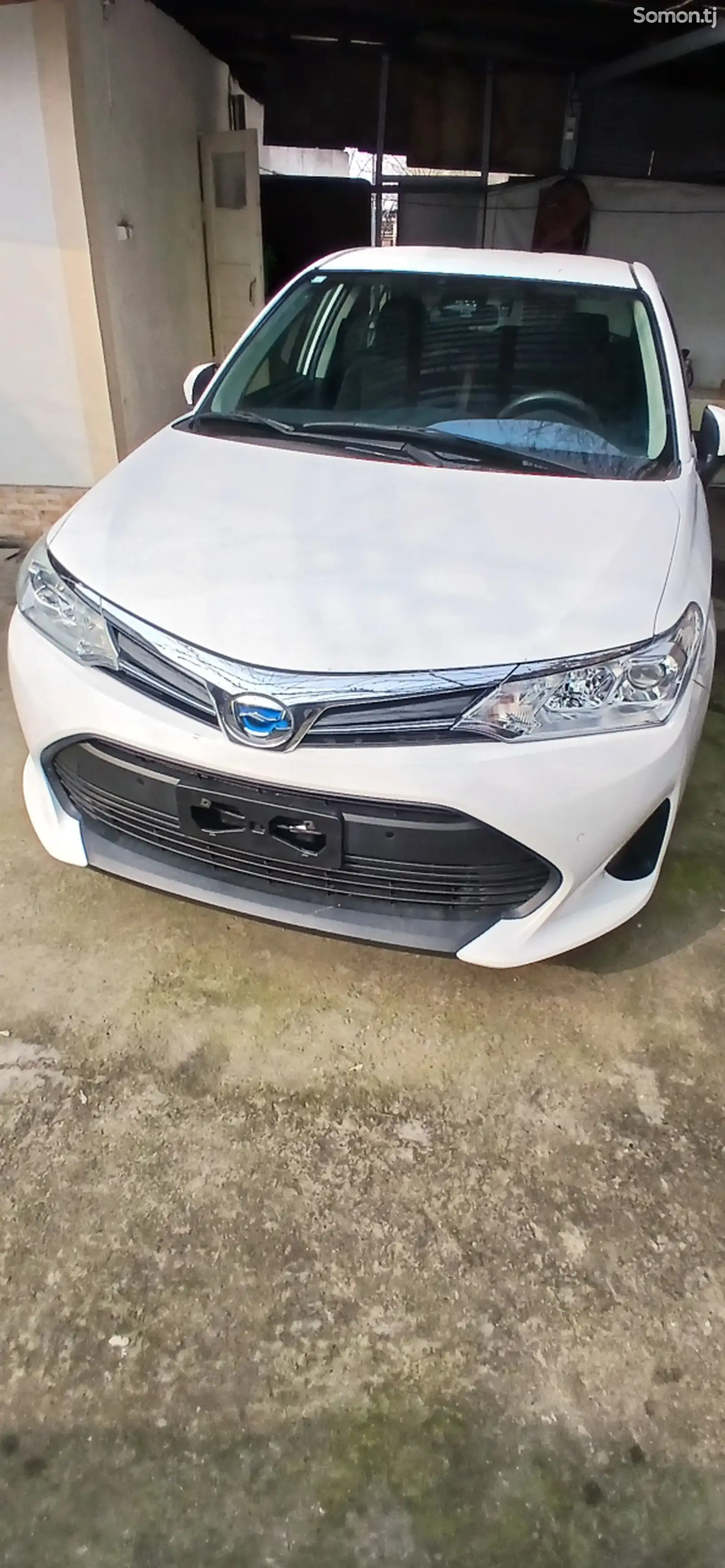 Toyota Axio, 2019-1